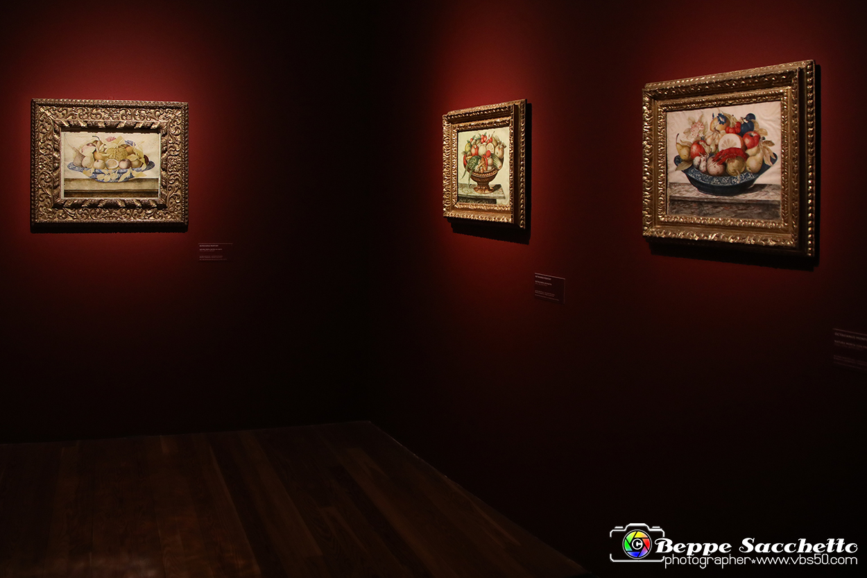 VBS_7847 - La canestra di Caravaggio.jpg